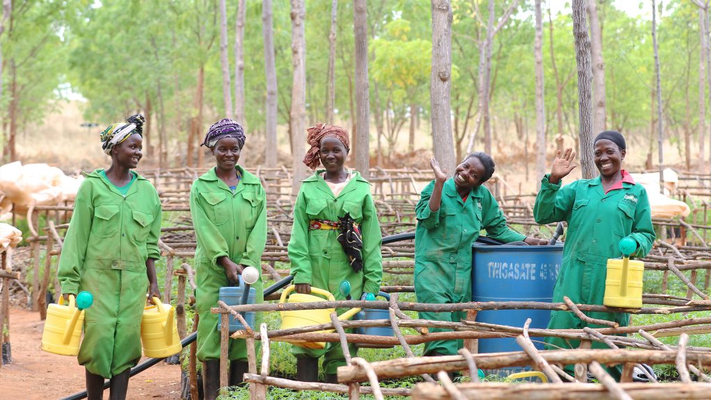 At the tree nursery in Kiambere, 72% of the employees are women, Kenya 2017